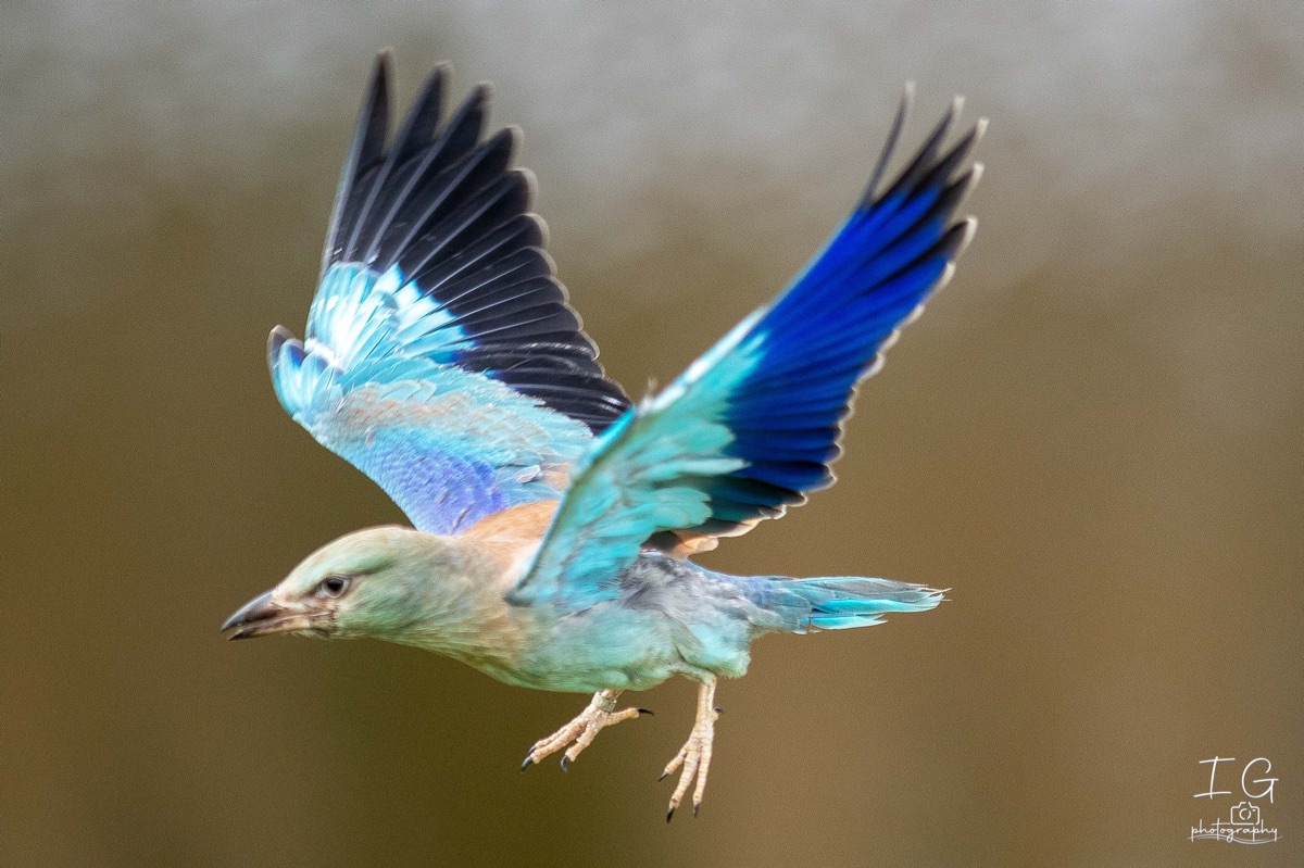 AK6I1780 31 oktober 2021 1534 07